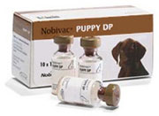 Nobivac Puppy DP